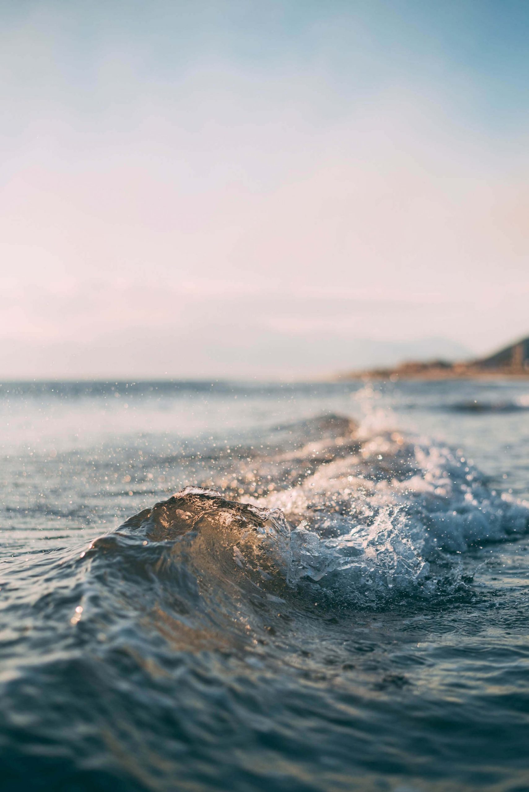 OliviaPro-YogaHeader